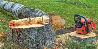 Bound Brook, NJ Tree Removal Pros