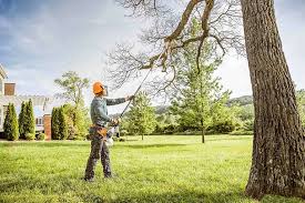 Mulching Services in Bound Brook, NJ
