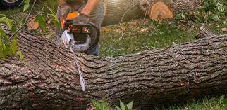 Best Lawn Watering Services  in Bound Brook, NJ
